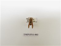 藏品(日本長腳蜂)的圖片